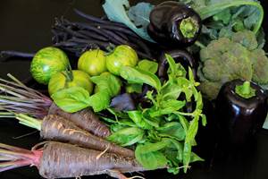 Retour du Marché de Villebois Lavalette