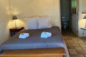 IMG_6503 (1)