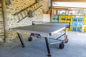 table de ping-pong