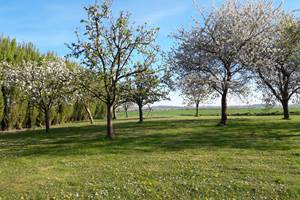 pour se balader dans le verger et manger de bons fruits bio