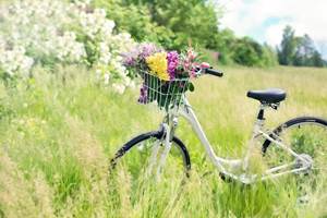 piste cyclable vélo chambre d'hôtes la blanche hermine maison d'hôtes bien être spa morbihan bretagne séjour détente repos ressourcement anti stress burn out cure ayurvédique retraite relaxation méditation damgan