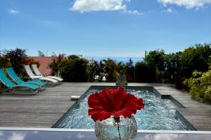 Piscine chauffée avec vue mer ou océan