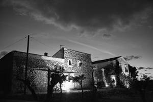 STE SUZANNE178