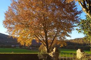 IMG_20221130_161907