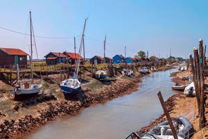 PXL_20250726_104721115.MP-EDIT