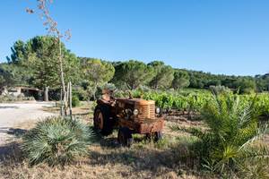 VIEUX TRACTEUR 1 REDI