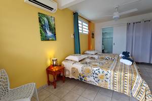 Gite Balisier Deshaies Guadeloupe