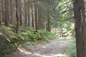 CHEMIN DE RANDONNEE 1