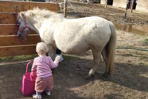 balade à poney Pyrénées-Orientales  promenade poney 66  activité enfant Pyrénées-Orientales  poney club 66  centre équestre Pyrénées-Orientales  balade à cheval 66  activité famille Pyrénées-Orientales  équitation enfant 66  balade à poney près de Perpignan  balade à poney bompas, claira, toreilles, barcares, canet en roussillon, sainte marie, Thuir, Pézilla, elne, cabestany, rivesaltes, saint estève