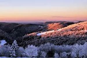 paysage d'hiver dans les vosges