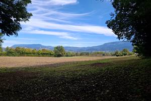 campagne-calme-saint-jean-davelanne