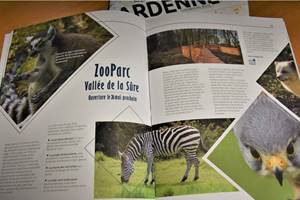zoo parc (002)