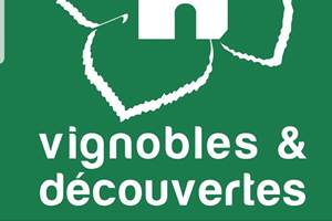 vignobles et découverte