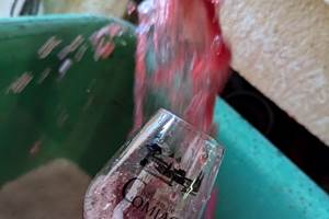 La Dégustation Sur Cuve