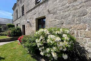 La cour en fleur