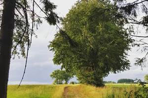 balade au départ du gîte