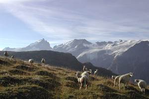 Vers le Plateau d'Emparis 2450 m.