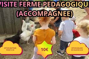 L’écurie du Vermois (4)