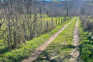 Petits chemins de campagne.