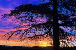 Lever de soleil au Cellier des Amis