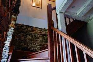 D'Arcy montée d'escalier