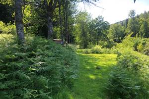 camping ombragé