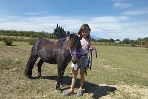 balade à poney Pyrénées-Orientales  promenade poney 66  activité enfant Pyrénées-Orientales  poney club 66  centre équestre Pyrénées-Orientales  balade à cheval 66  activité famille Pyrénées-Orientales  équitation enfant 66  balade à poney près de Perpignan  balade à poney bompas, claira, toreilles, barcares, canet en roussillon, sainte marie, Thuir, Pézilla, elne, cabestany, rivesaltes, saint estève