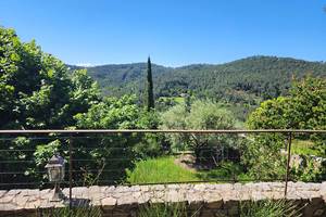Jardin_15
