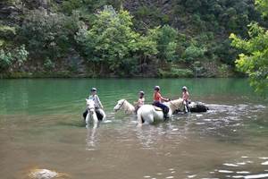 192291060_4623116564383450_6722781256250046703_n