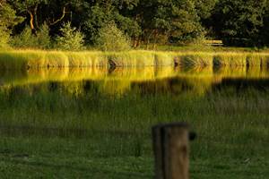 Escapade-a-la-campagne-en-Ile-de-France