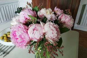 IMG_20190527_151937