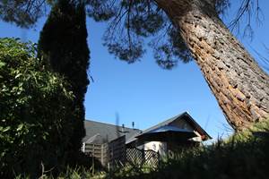 Rez de jardin