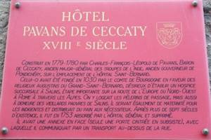 L'hôtel particulier "Pavans de Ceccaty"