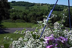 camping-la-perle-vue campagne