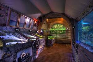 AQUARIUM DU LIMOUSIN A LIMOGES