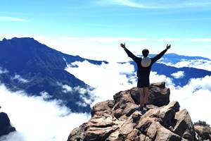 3555fe31-95e3-4135-8148-bf20052d9d1c