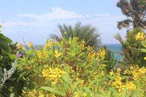 Iguane House villas & Micro Spa Villa Corail jardin paysagé et vue mer