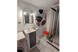 Gite-de-groupe-alsace-vosges-chalet-salle-de-bain-2