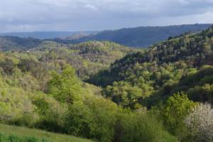 l'espace-champetre-valle´e-de-la-dordogne