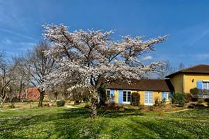 5A3D233D-9FA8-40F6-A63C-A7B7FD9AB60B_1_105_c