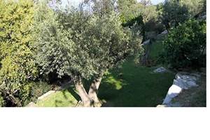 jardin en restanques