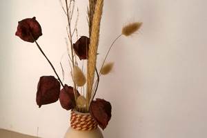 chambres-hotes-proche-chateau-de-castelnau