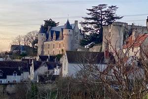 CHATEAU DE MONTRESOR