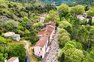 Transhumance