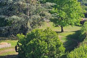 Le Quai d'Neuf — Gîte de groupe en Creuse (15 personnes) - vue jardin
