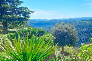 Calme, beauté, et lumière provençale au rendez-vous.