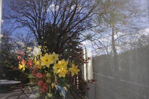 Les-Tilleuls-Bed-Breakfast-a-Vielsalm-Haute-Ardenne-interieur