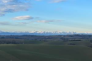 IMG_9982