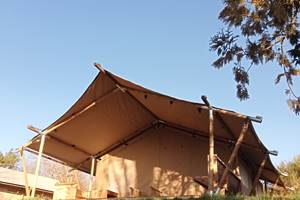 campinglaperle_tente_safari_2025_10