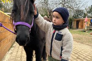balade à poney Pyrénées-Orientales  promenade poney 66  activité enfant Pyrénées-Orientales  poney club 66  centre équestre Pyrénées-Orientales  balade à cheval 66  activité famille Pyrénées-Orientales  équitation enfant 66  balade à poney près de Perpignan  balade à poney bompas, claira, toreilles, barcares, canet en roussillon, sainte marie, Thuir, Pézilla, elne, cabestany, rivesaltes, saint estève
